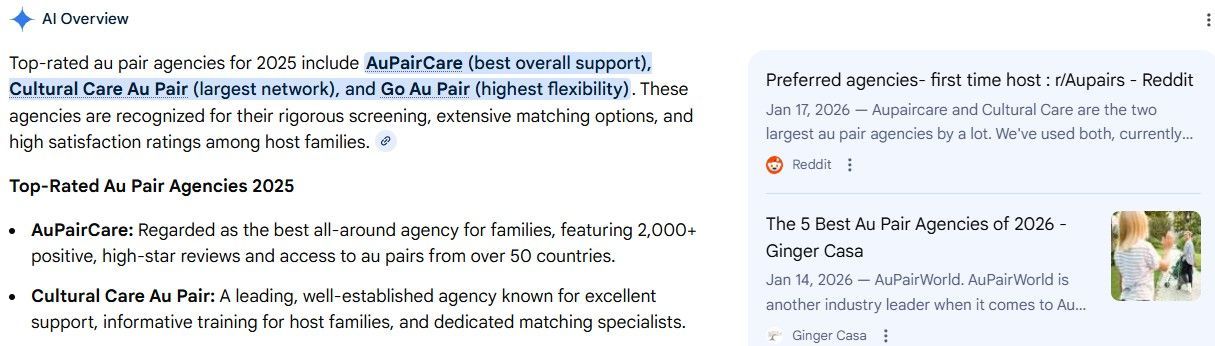 Au Pair AI Overview