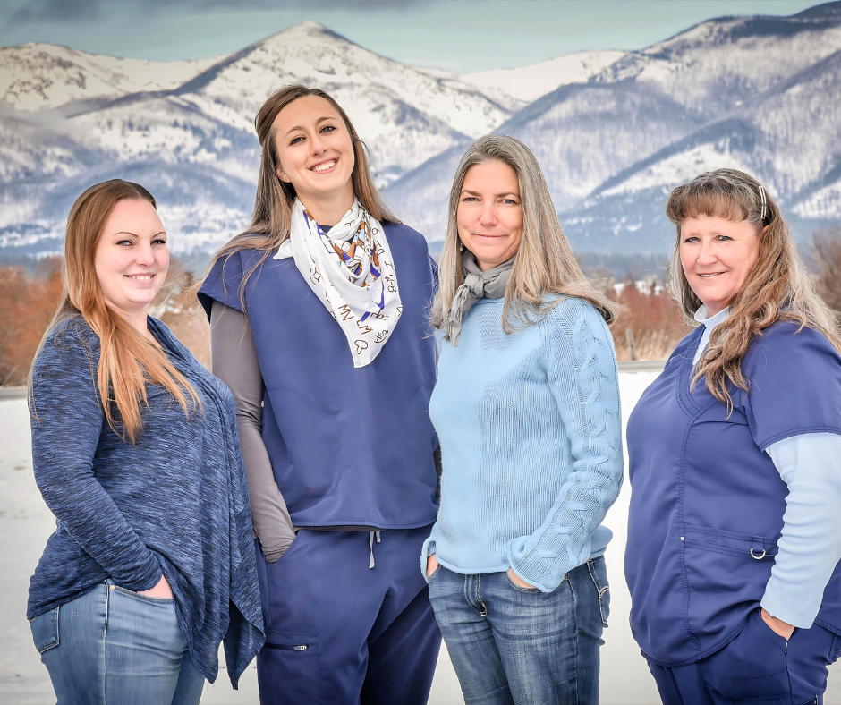 Four women are posing for a picture in front of a snowy mountain.