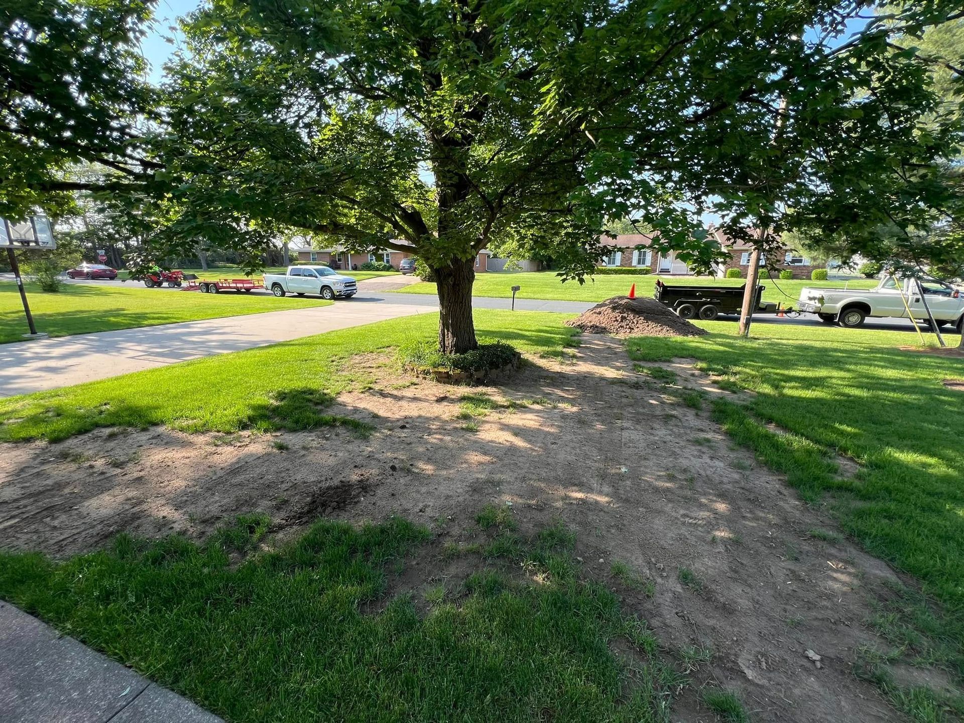 A tree is sitting in the middle of a lush green field.