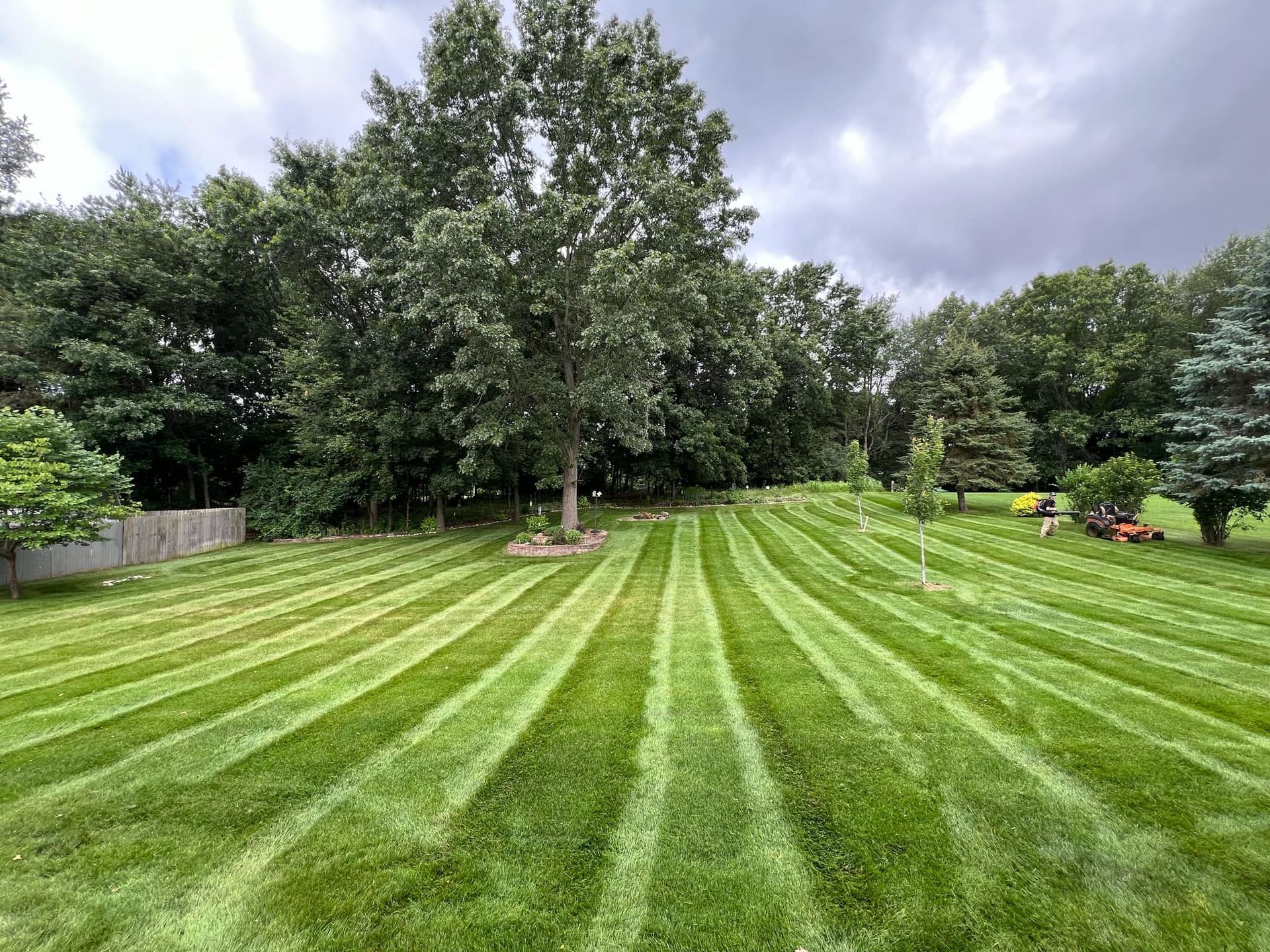 A lush green lawn with trees in the background and a lawn mower in the foreground.