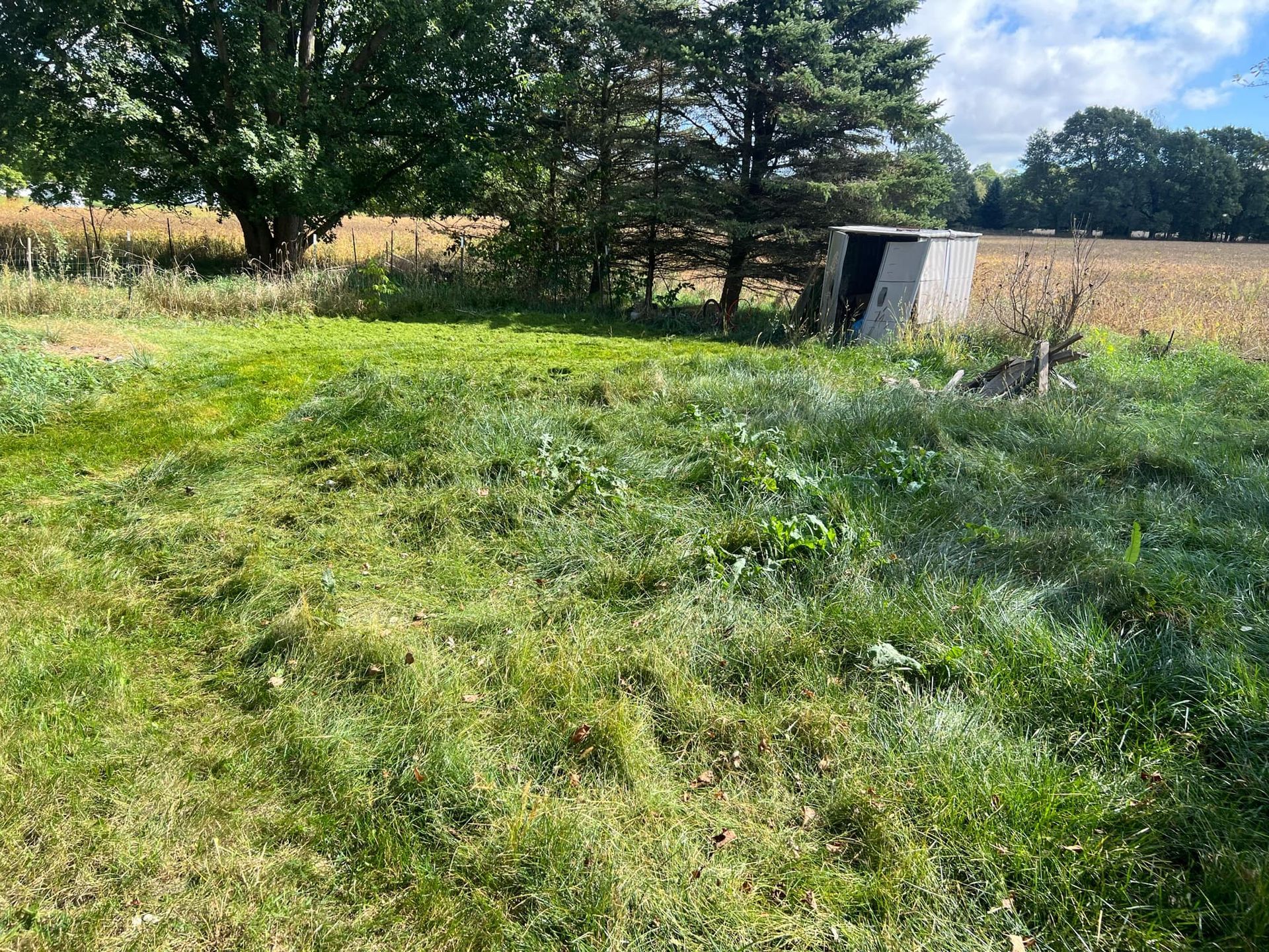 A shed is sitting in the middle of a grassy field.