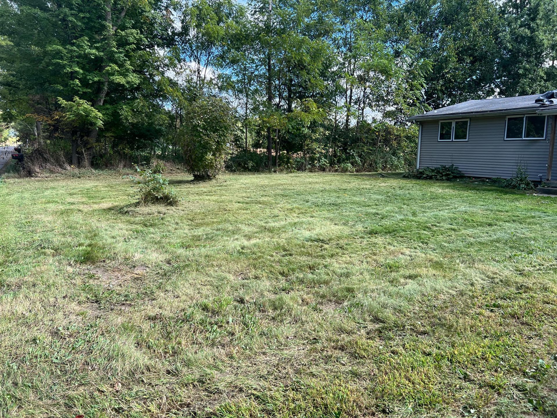 A large lawn with a house in the background and trees in the background.