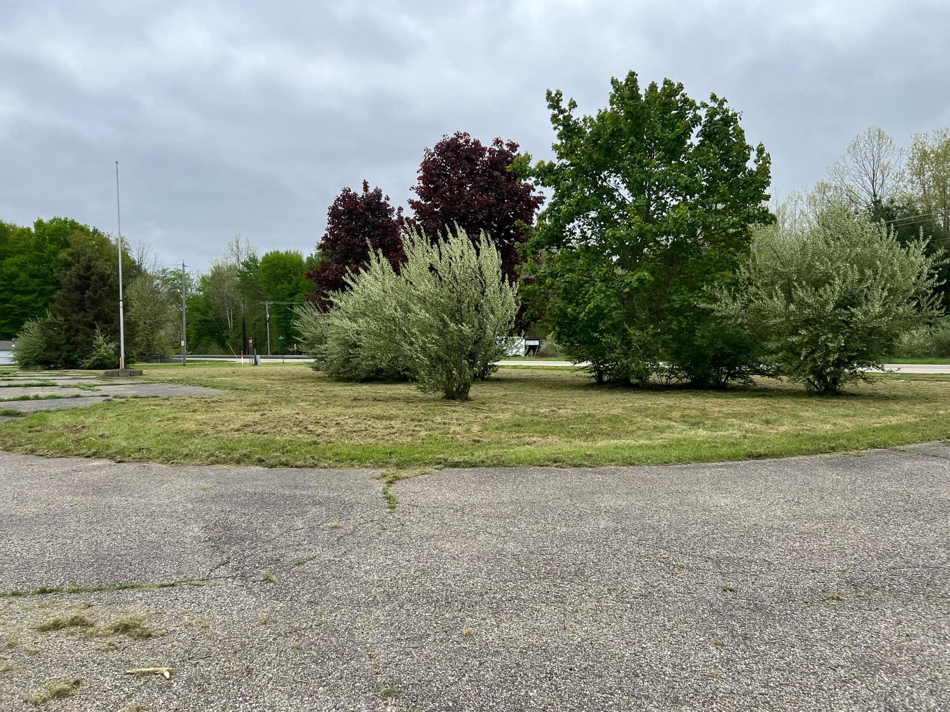 A gravel road surrounded by trees and bushes on a cloudy day.
