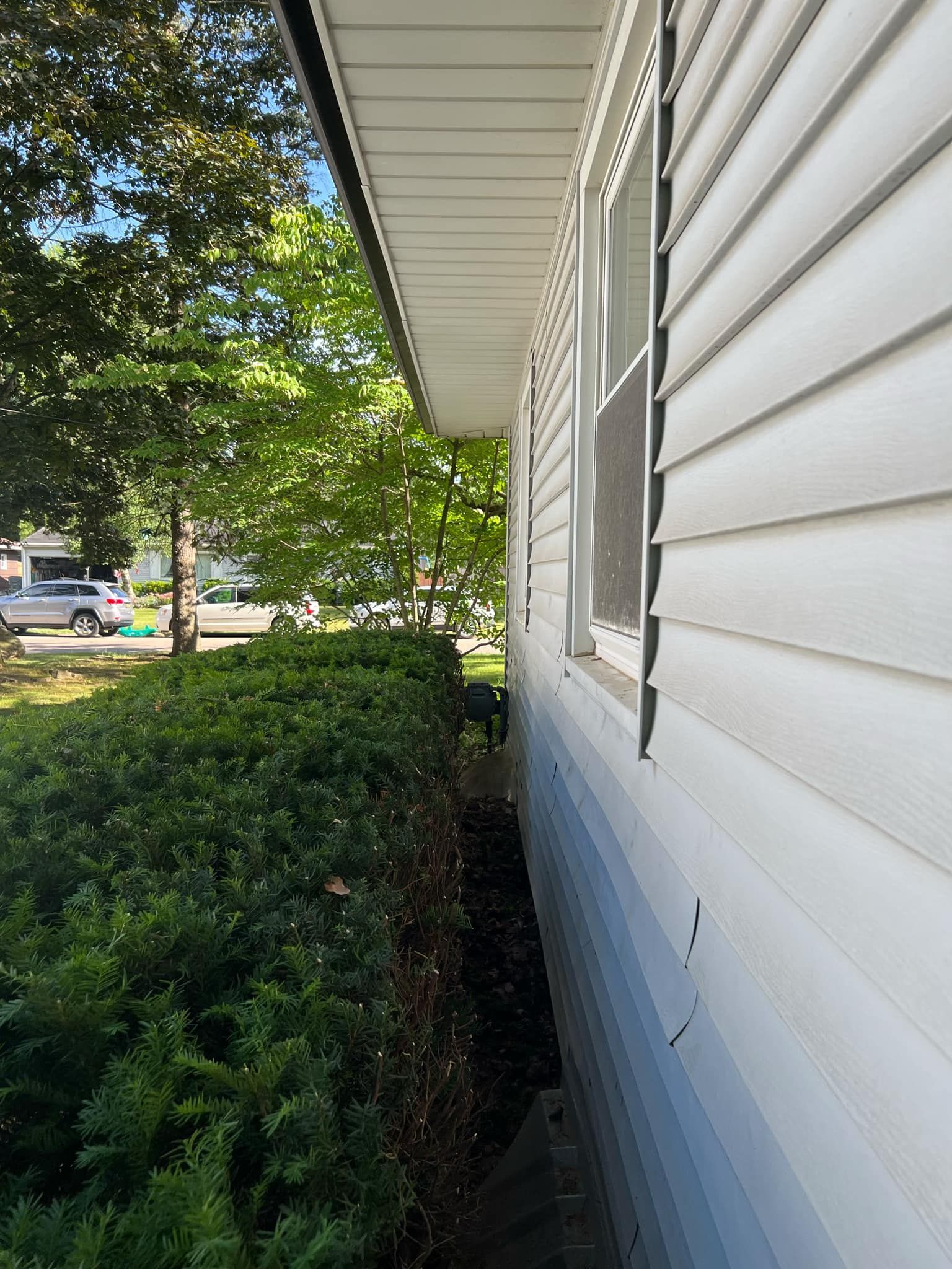 A white house with a lot of windows and bushes on the side of it.