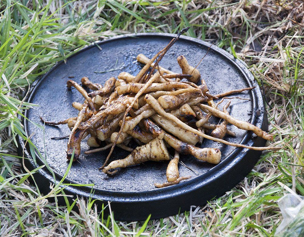 Roasted root vegetables on a black cast iron pan, on a grassy surface.