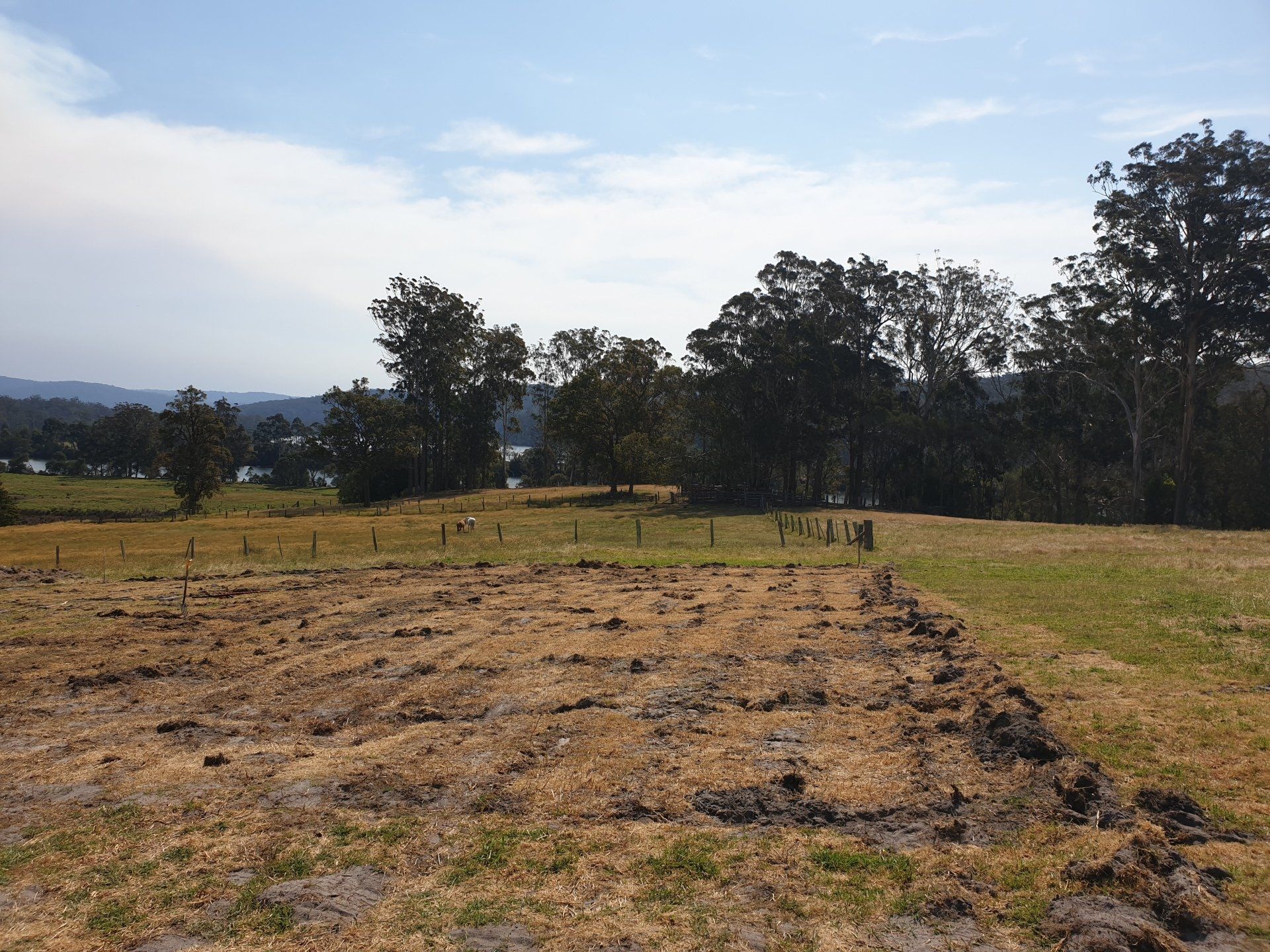 Brown field with sparse vegetation, trees in the background, cloudy sky.