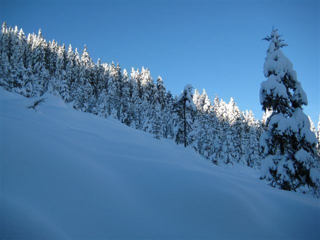 Osttirols Berglandschaft erleben