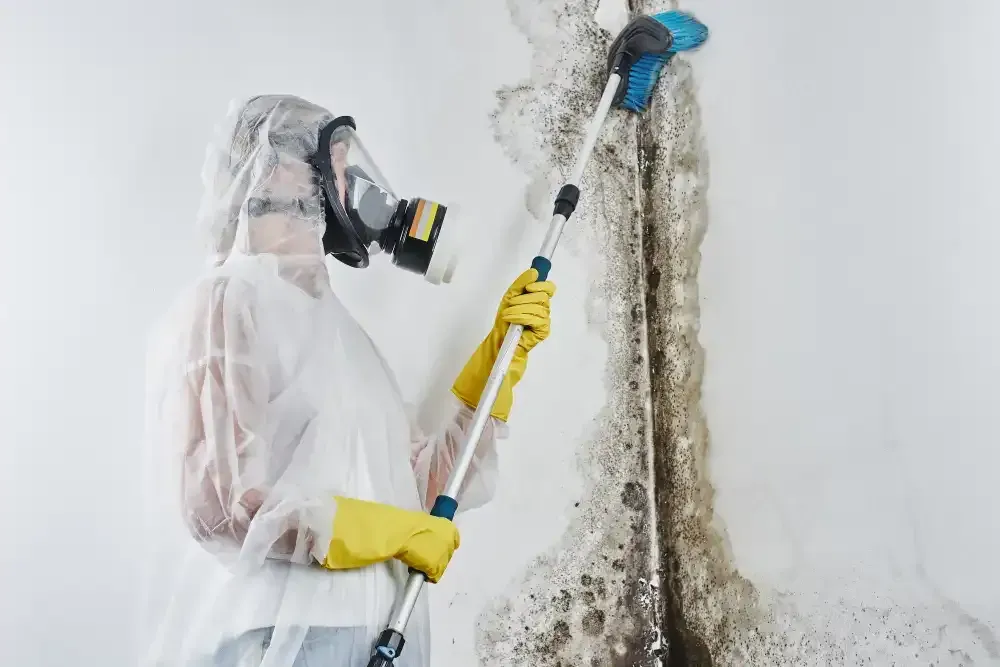 Person in hazmat suit removing mold from a wall with a long-handled brush.