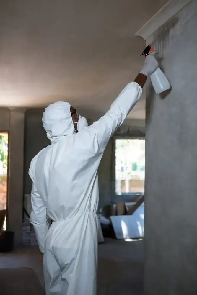 Person in protective suit spraying wall and ceiling in a room.