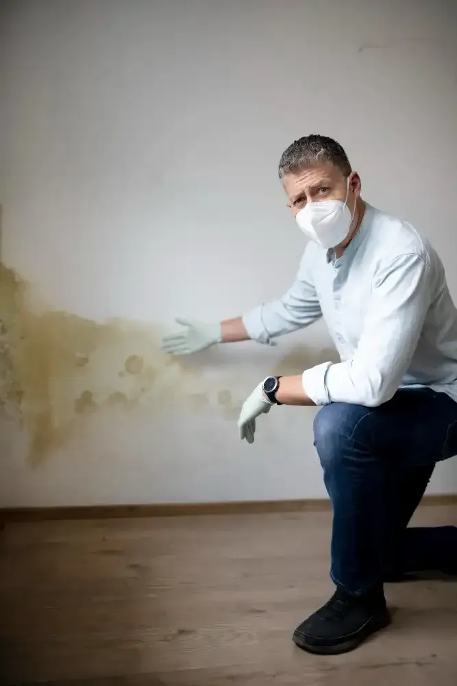 Man in mask and gloves points at mold on a wall.