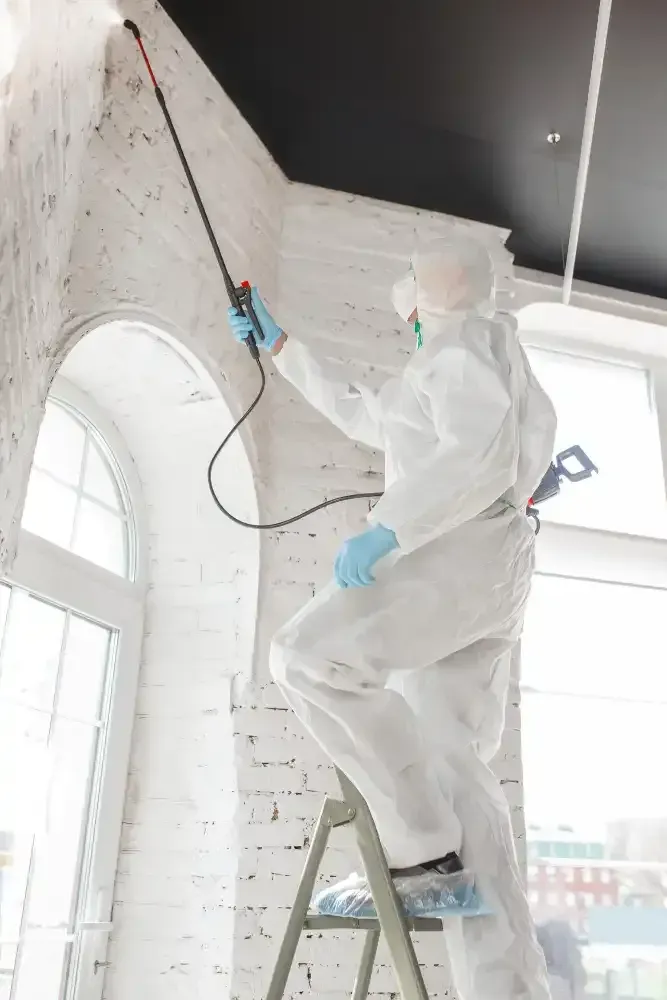 Person in protective suit spraying a wall from a ladder near a window.