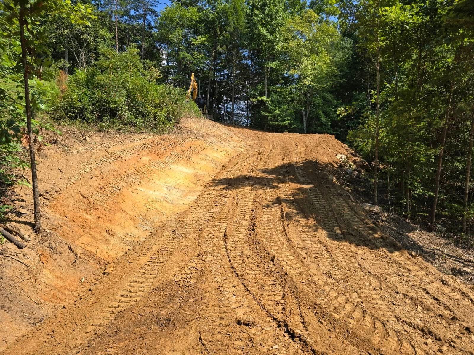 A dirt road in the middle of a forest with trees on both sides.