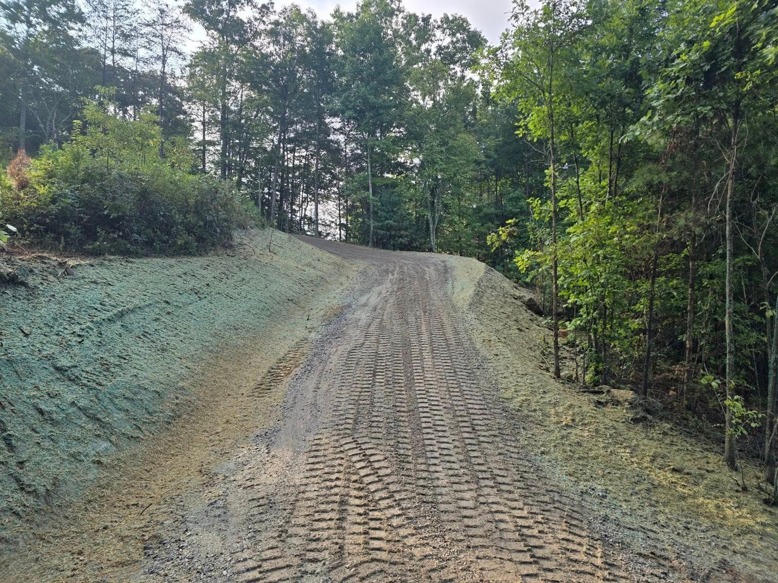 A dirt road going through a forest with trees on both sides.