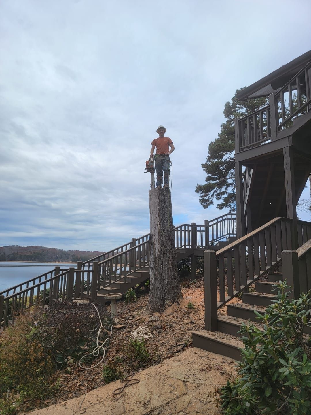 A man standing on top of a tree stump overlooking a lake