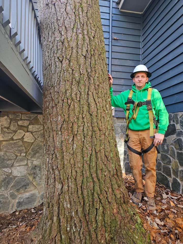 A man is standing next to a large tree in front of a house.