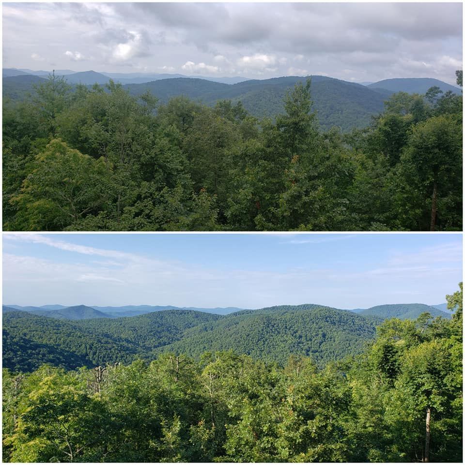Two pictures of a forest with mountains in the background