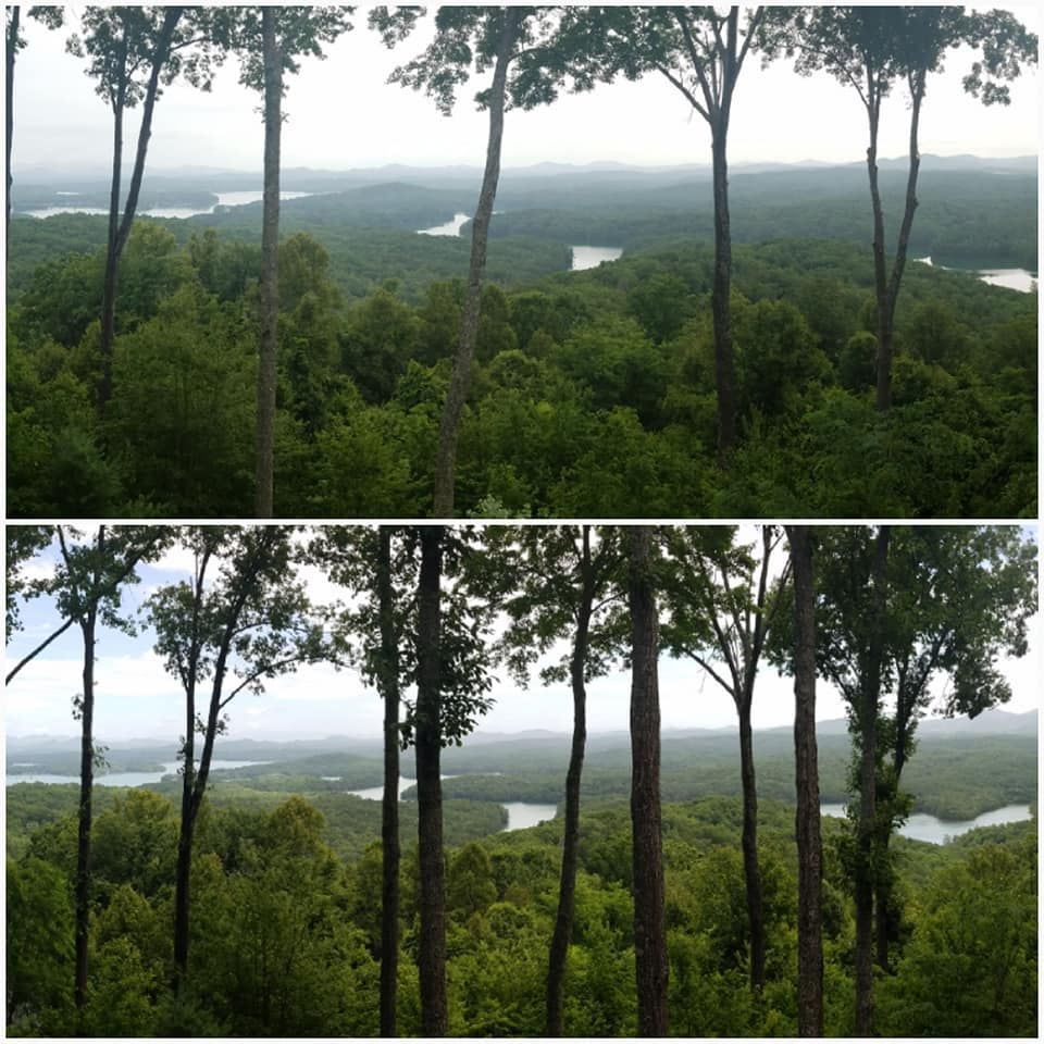 A collage of two pictures of a forest with a lake in the background