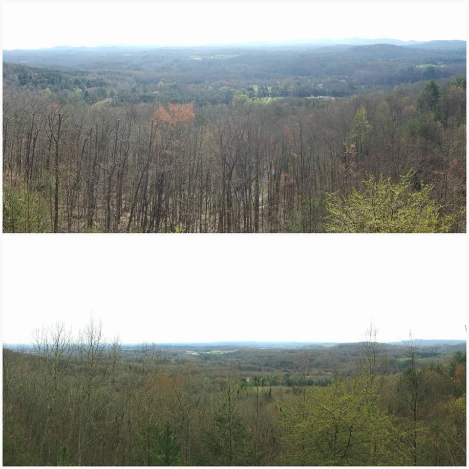 A picture of a forest with trees without leaves and a picture of a forest with trees with leaves