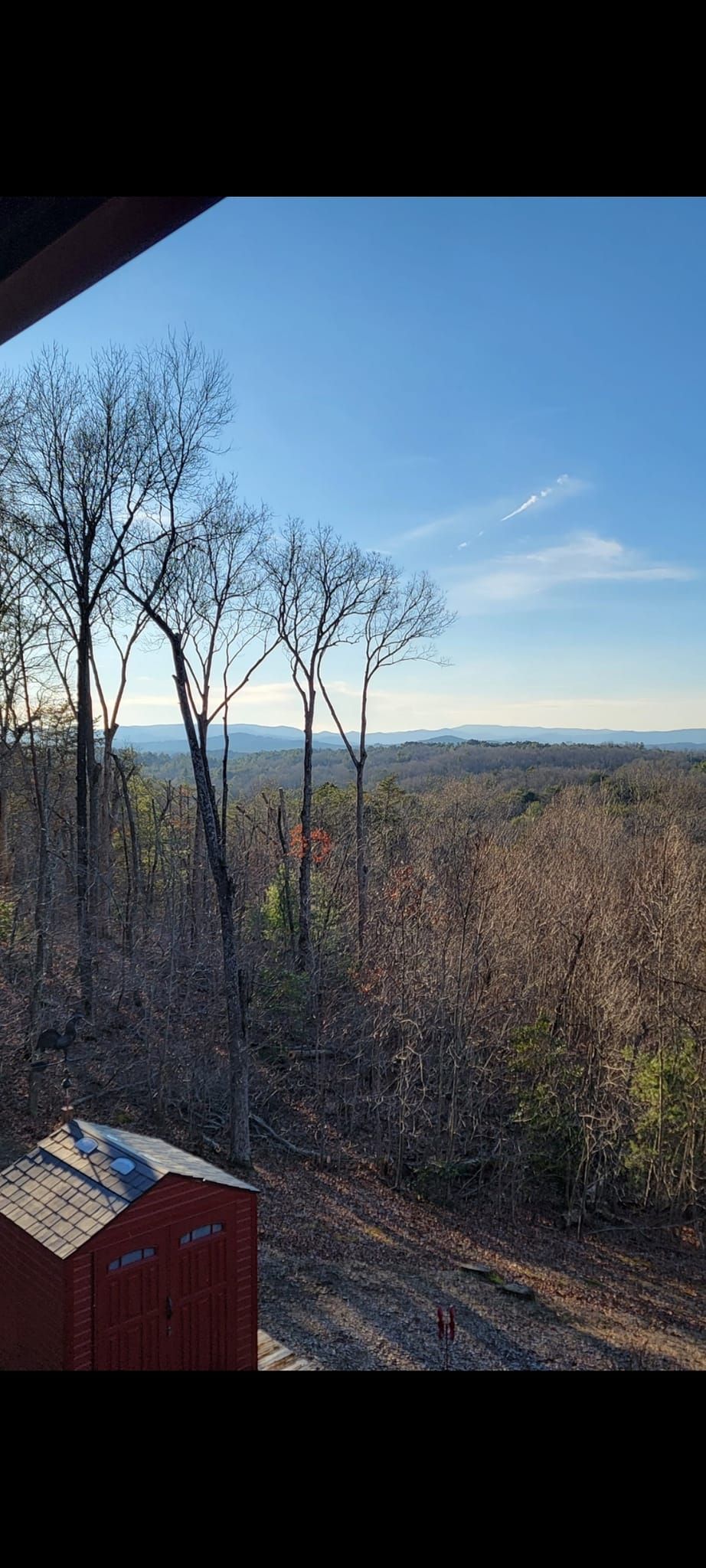 A view of a forest from a balcony with trees in the foreground and a blue sky in the background.