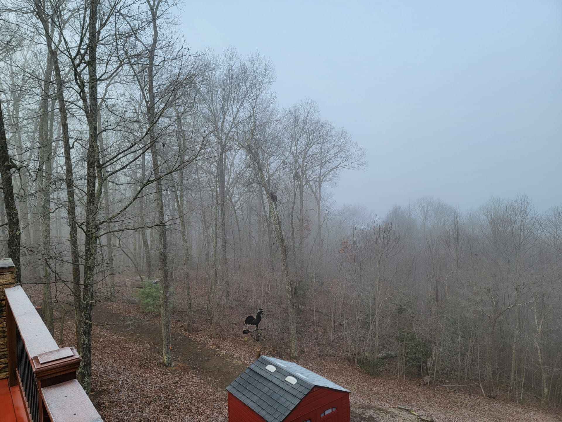 A red shed is sitting in the middle of a foggy forest.