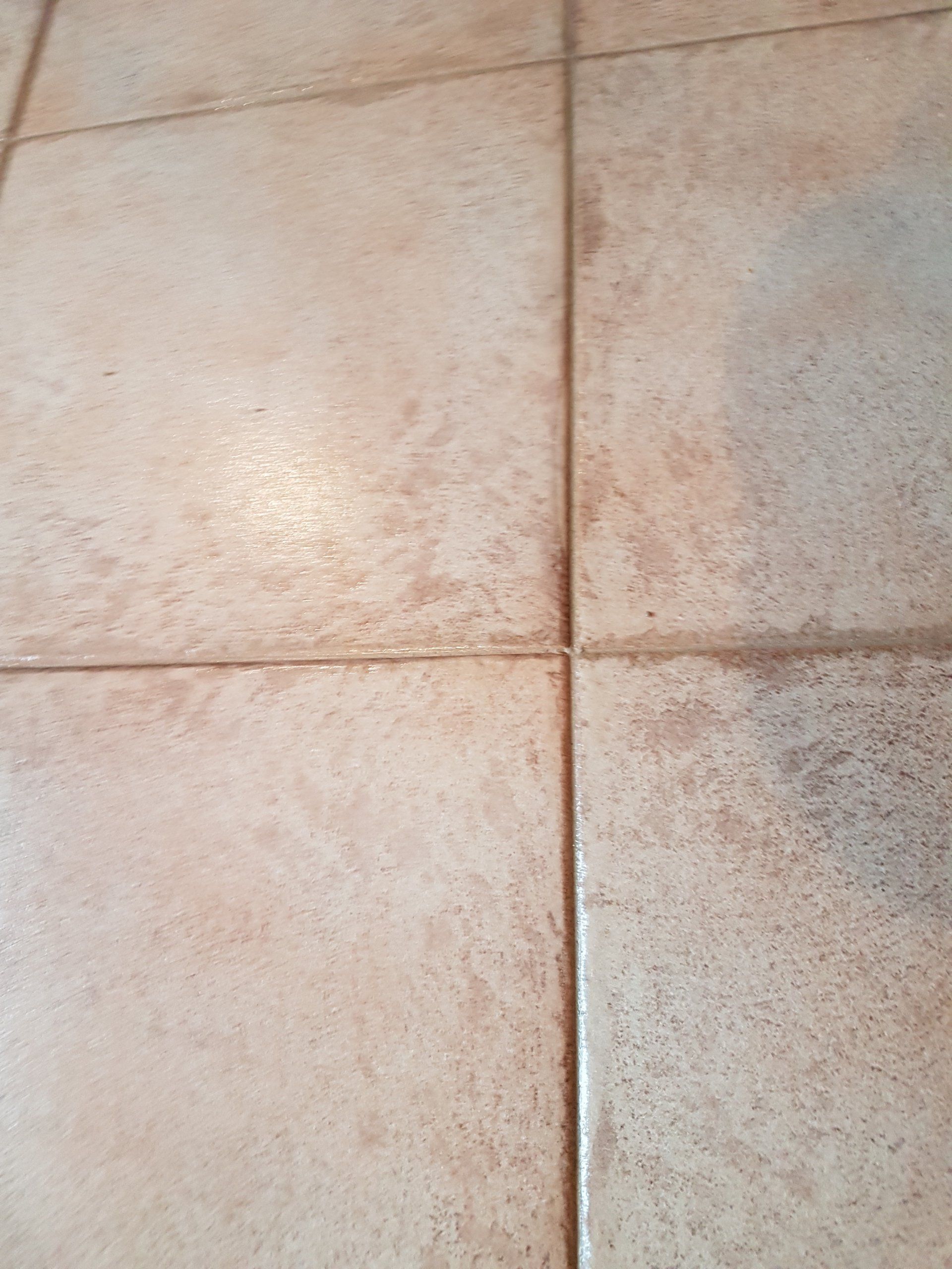 impresa di pulizia jonny - Porto San Giorgio (FM)