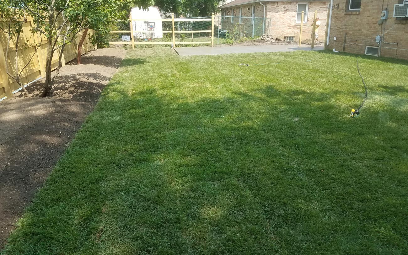 Clean Lawn — Amherst, NY — PBC Services, Inc.