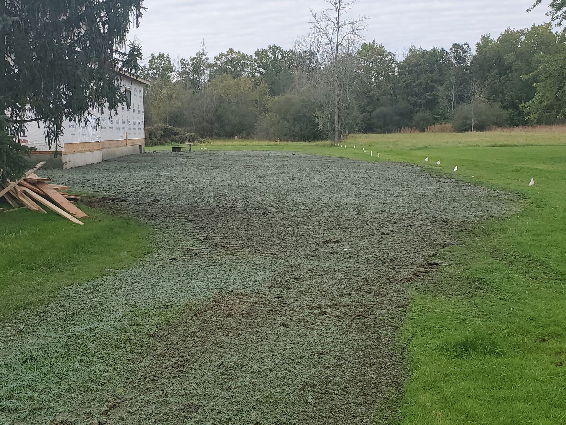 Clean Lawn — Amherst, NY — PBC Services, Inc.