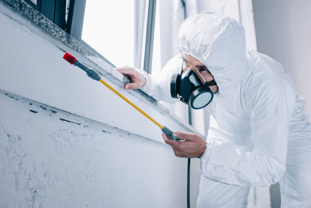 Person in Protective Suit Spraying a Window Frame; Likely Pest Control — Pest Pro Whitsundays in Strathdickie, QLD
