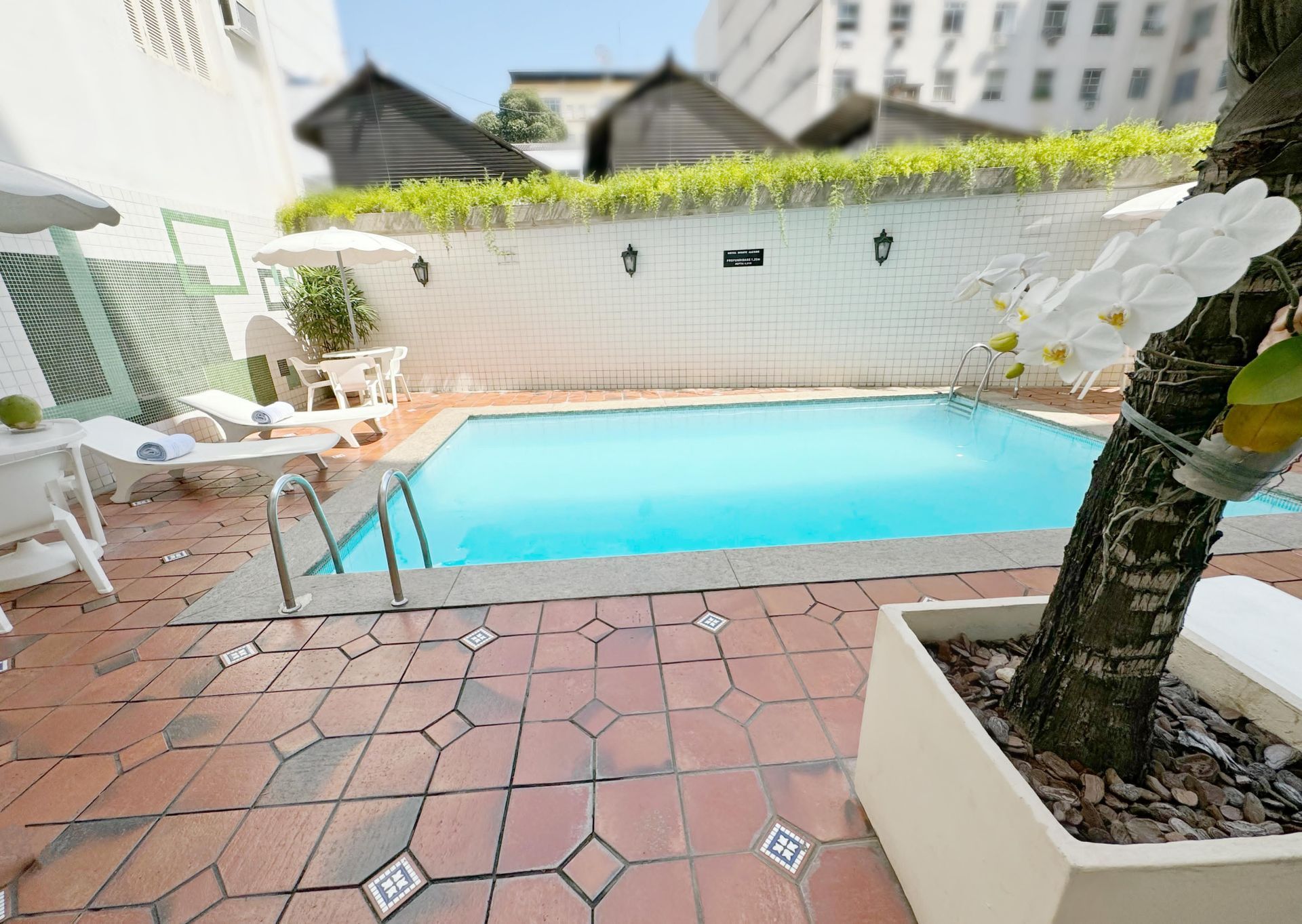 Uma piscina com uma árvore no meio