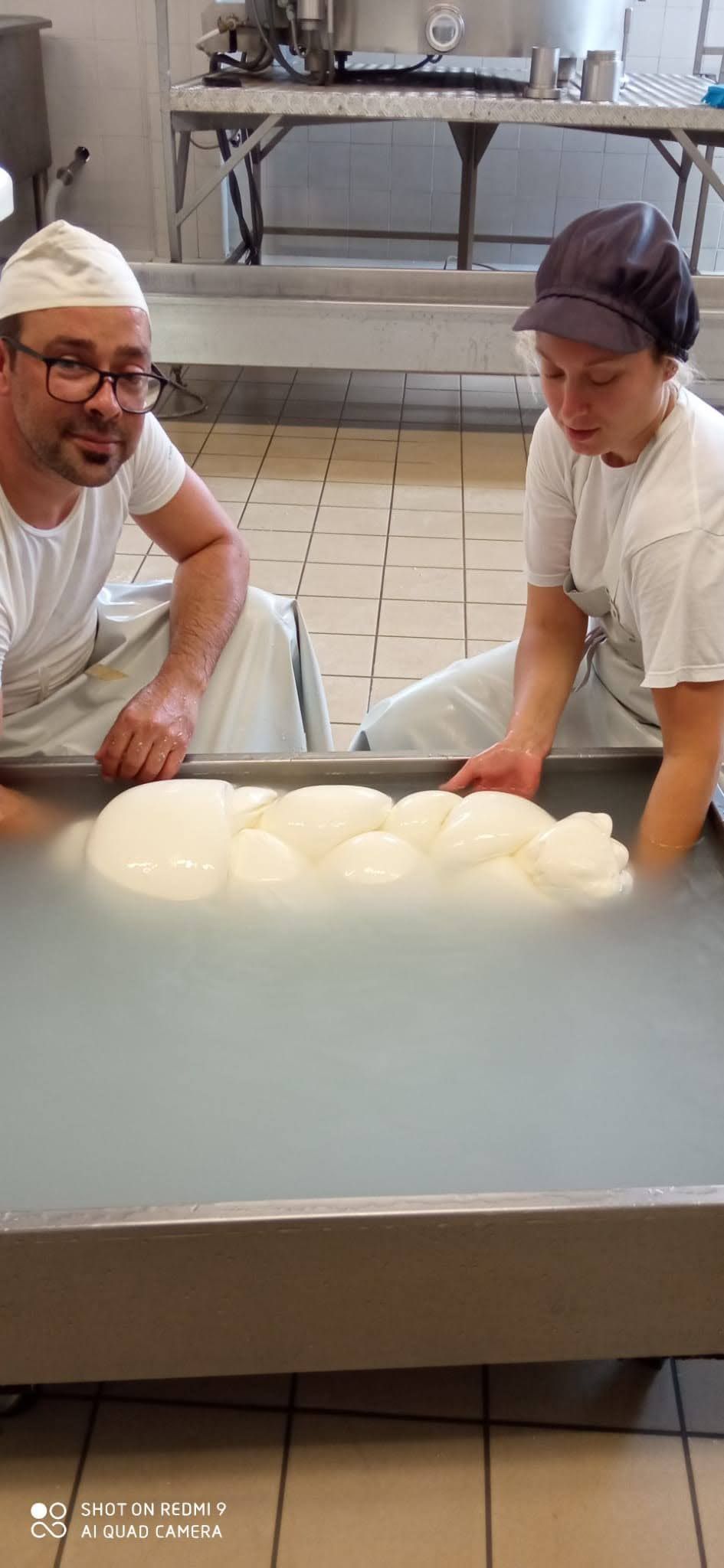 mozzarella production caseificio tascolano