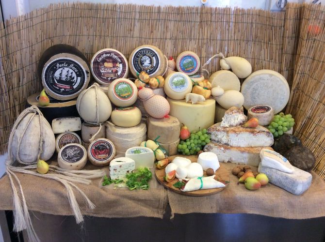 cheese production caseificio tascolano
