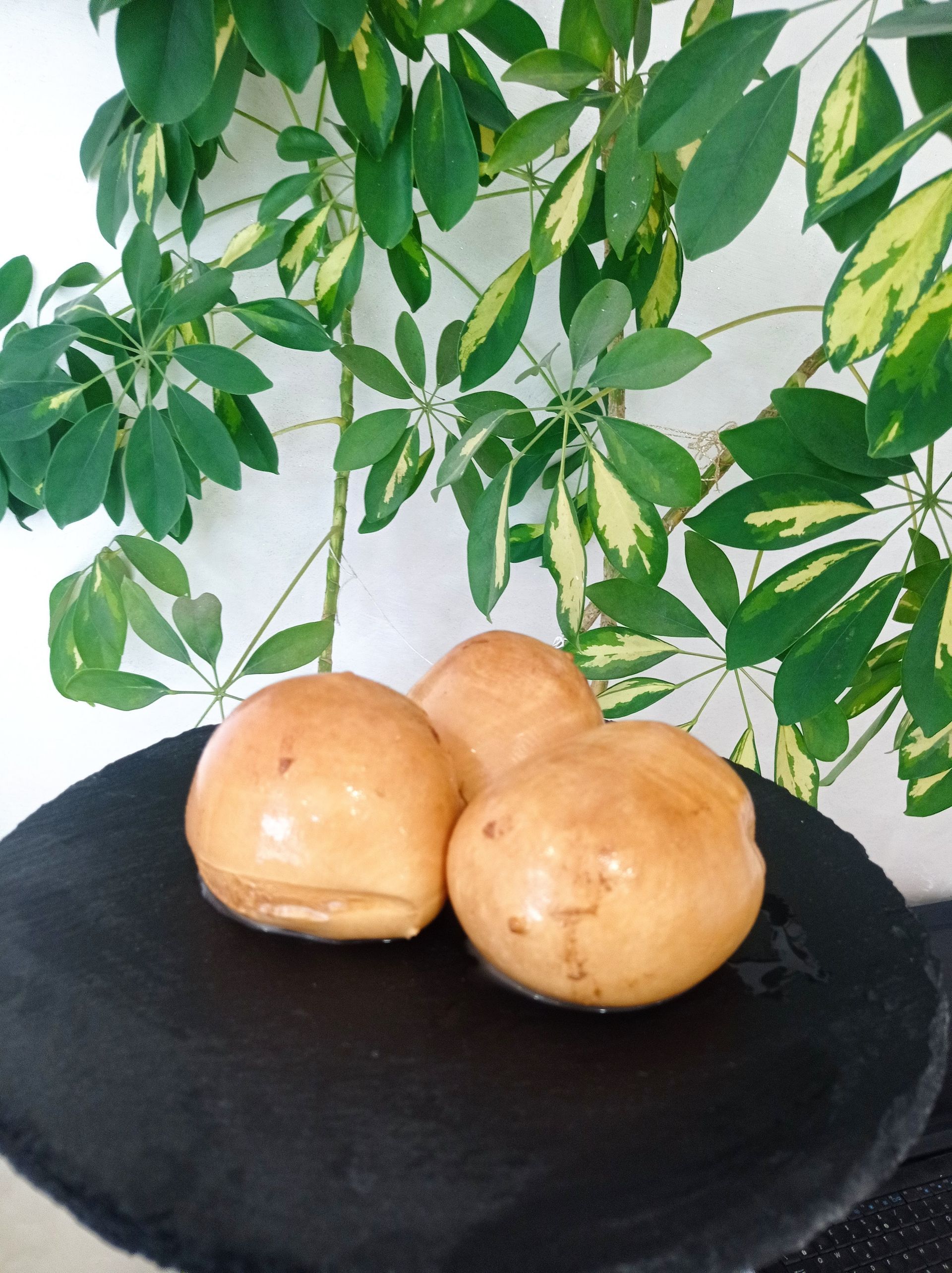 pasta filata cheese tascolano 6