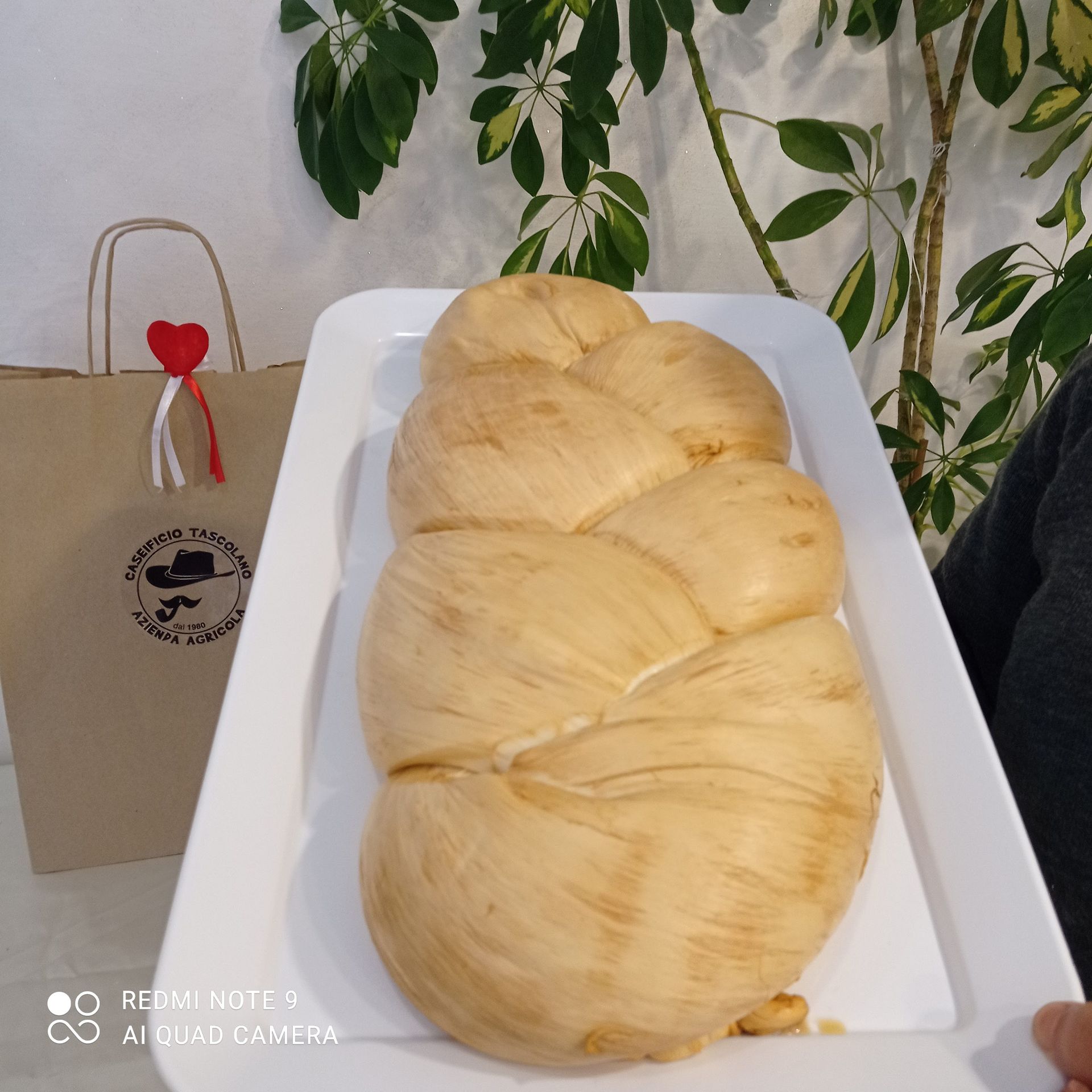 pasta filata cheese tascolano 11