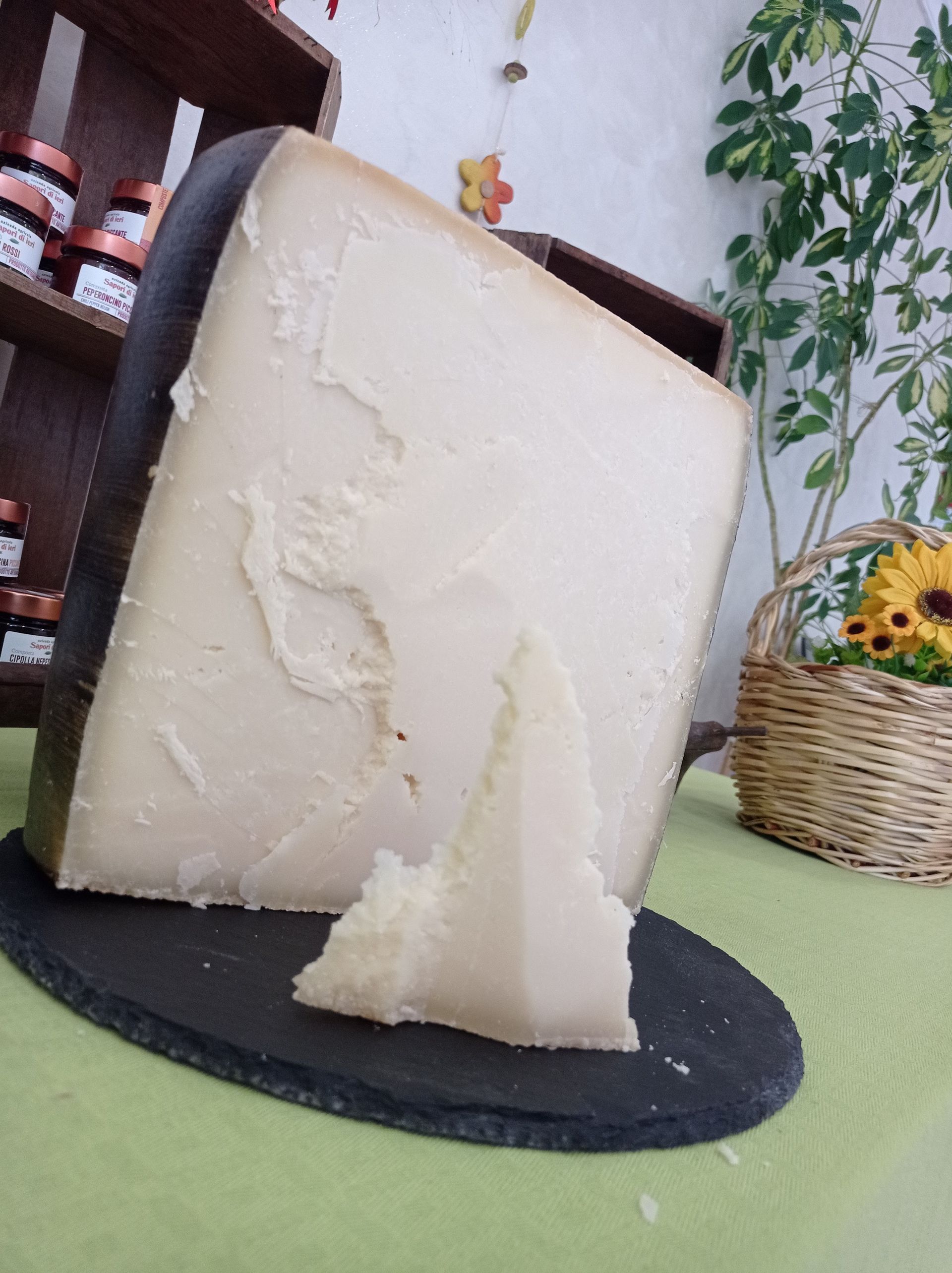 aged cheese tascolano 5