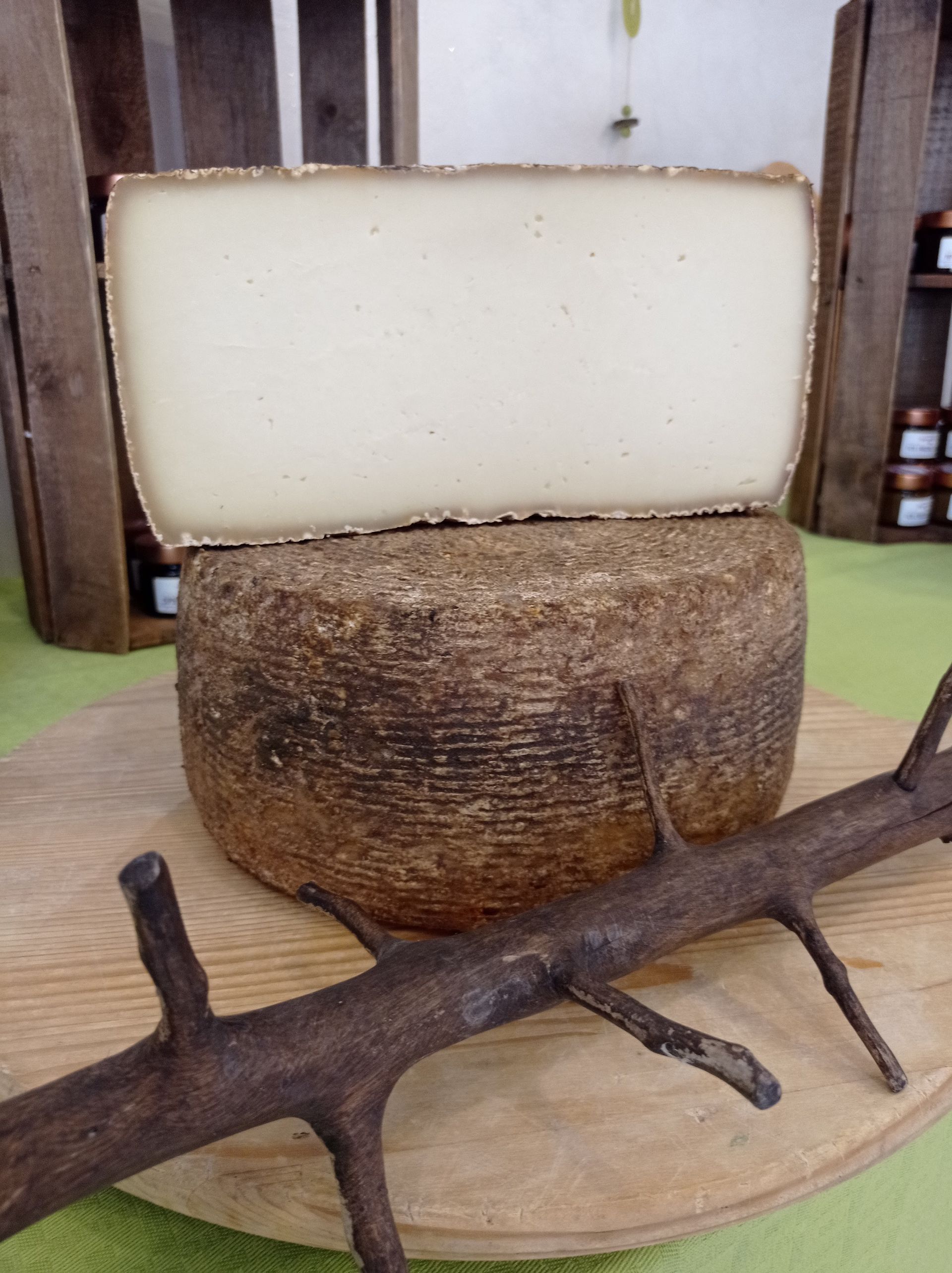 aged cheese tascolano 3