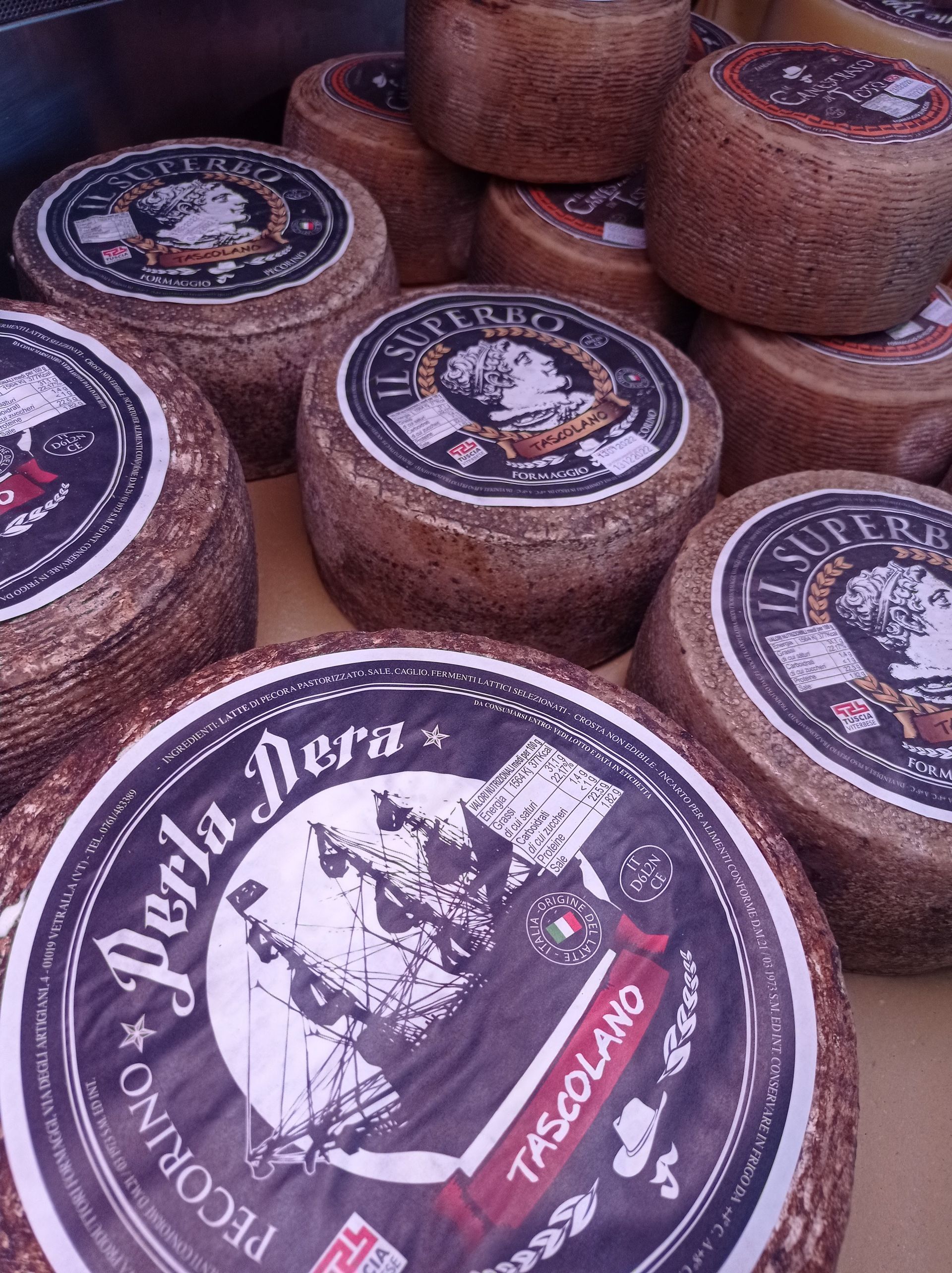 aged cheese  tascolano 2