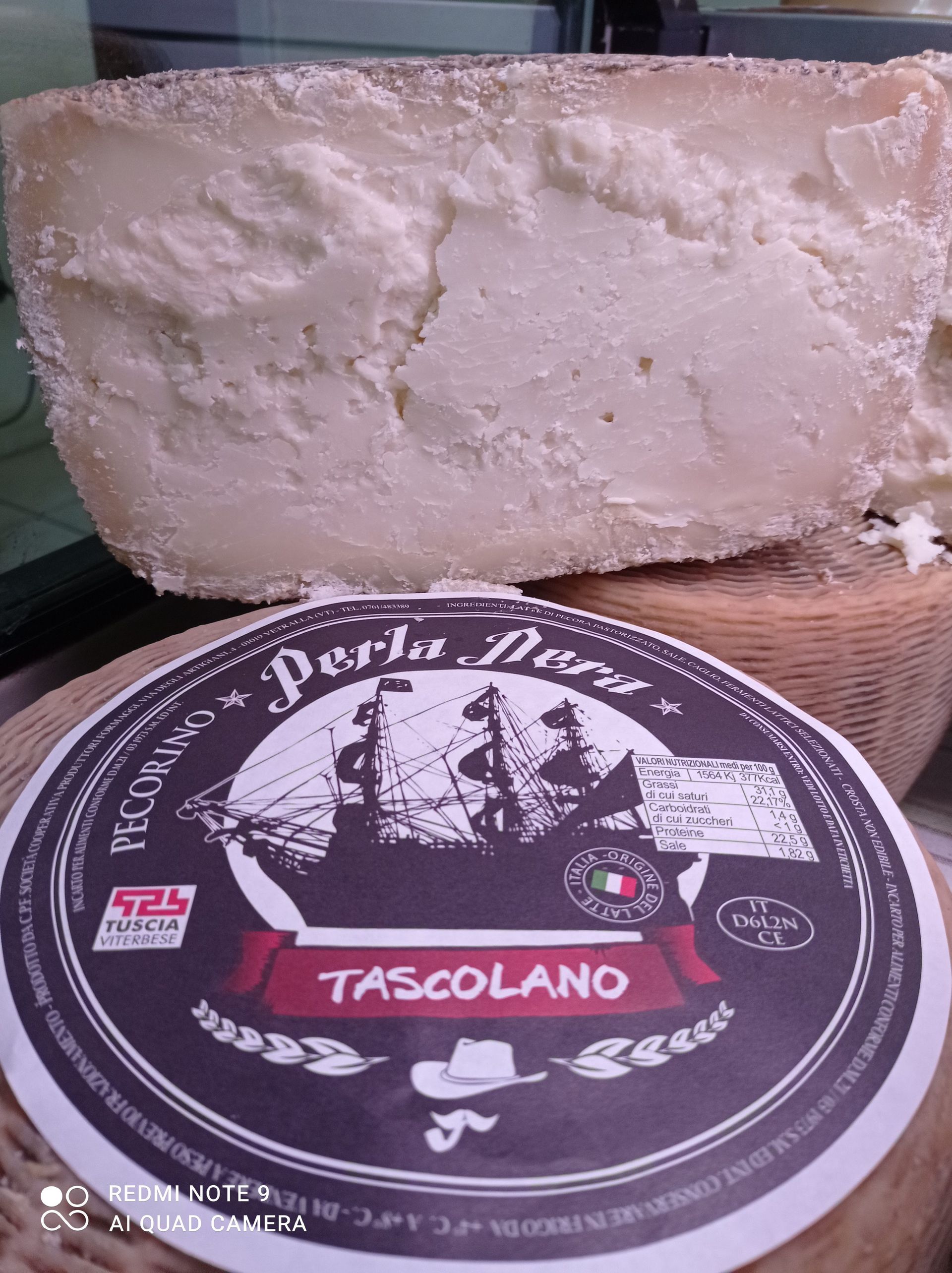 aged cheese tascolano 1