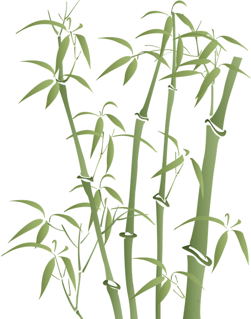 eine Gruppe von Bambus-Pflanzen mit grünen Blättern