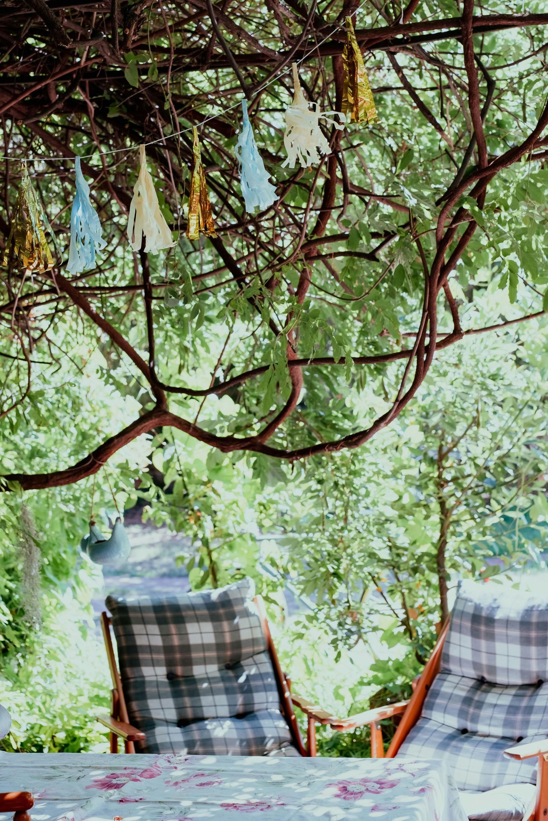 Two plaid armchairs set at a table beneath a lush green tree adorned with decorative hanging tassels.