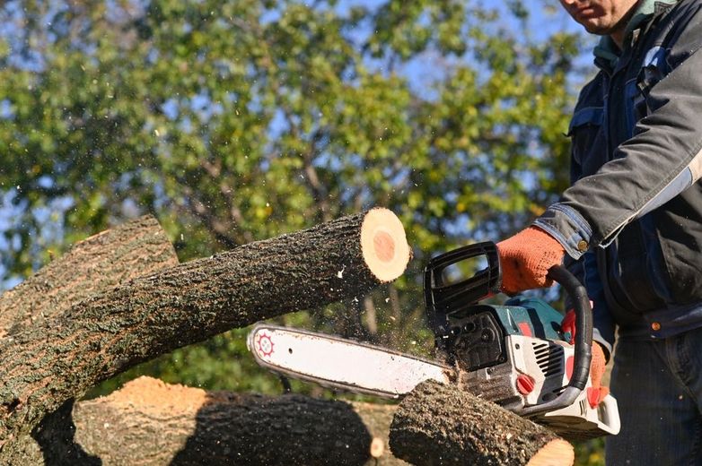 A man is cutting a tree branch with a chainsaw.