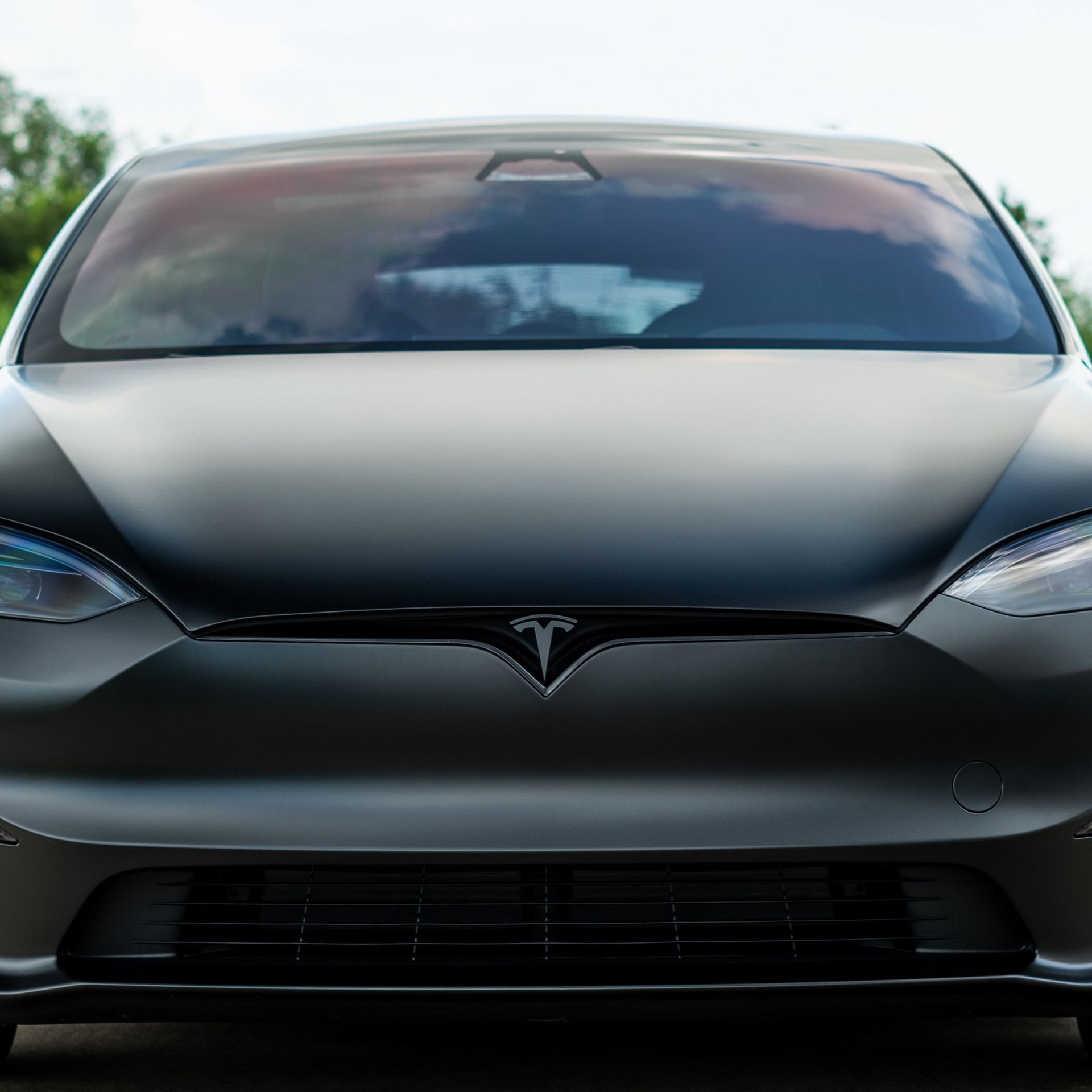 XPEL Window Tint on Black Tesla