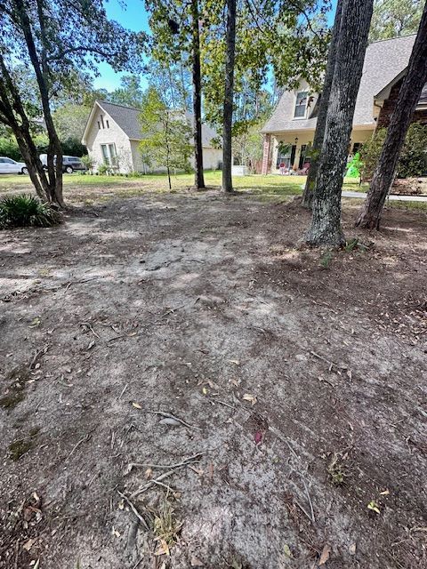 A picture of a yard with trees that has been cleaned up in Mandeville, LA.