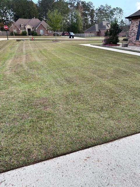 A picture of a big yard that the grass has just been cut.