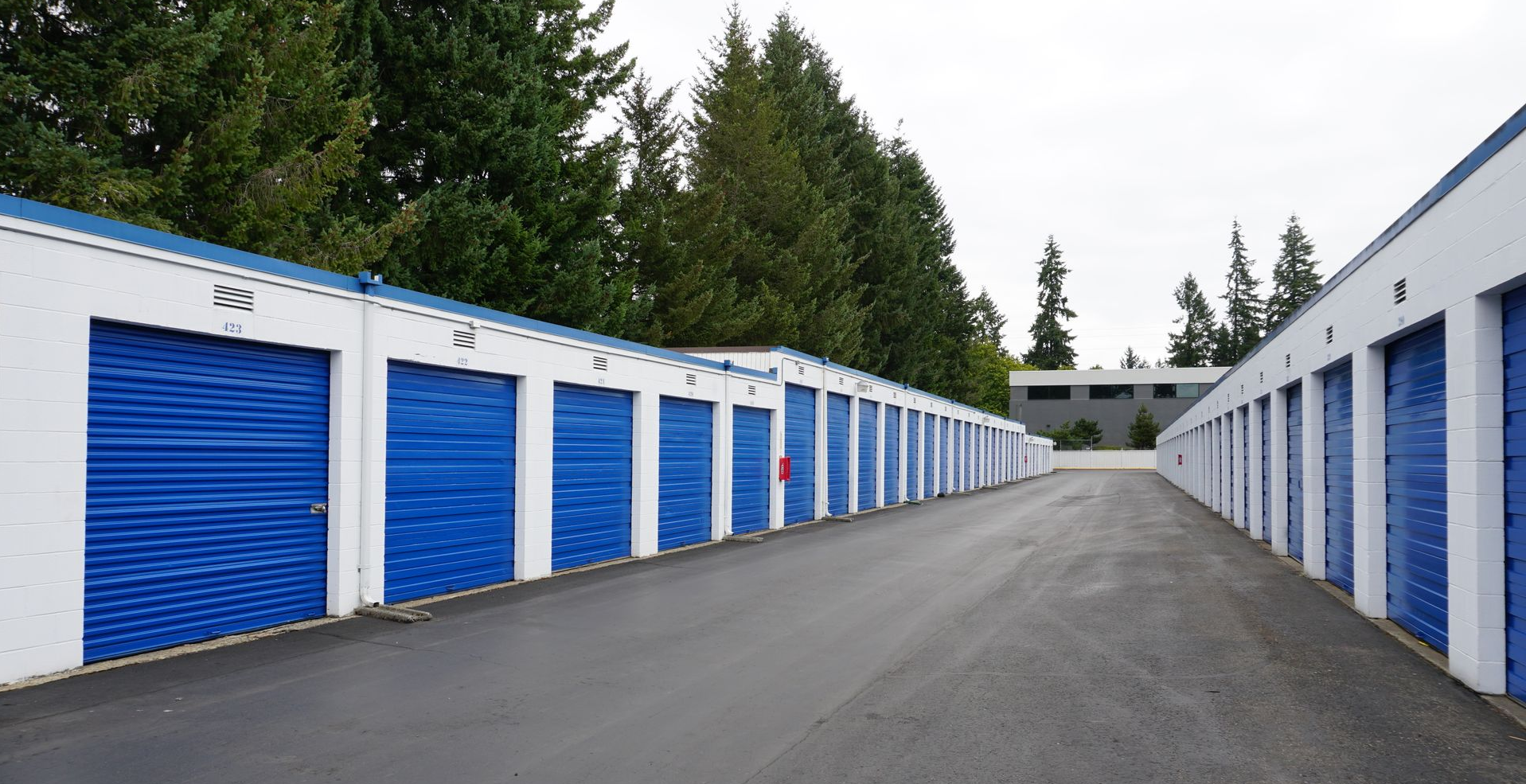 Storage units with blue doors, asphalt drive, and white trim. Trees in the background, overcast sky.