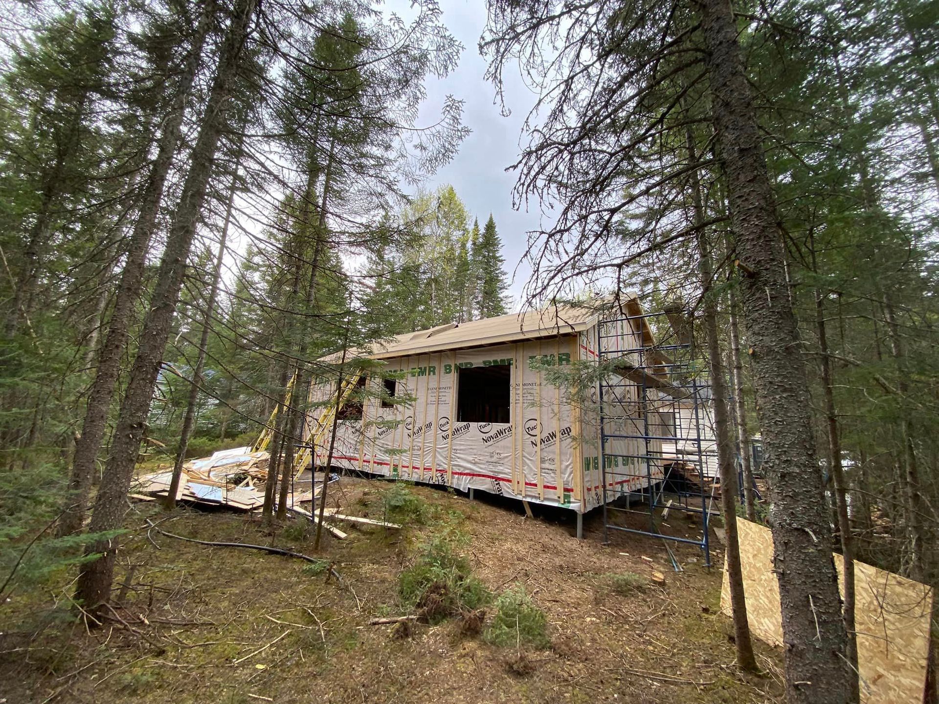 Une petite maison est en construction au milieu d'une forêt.