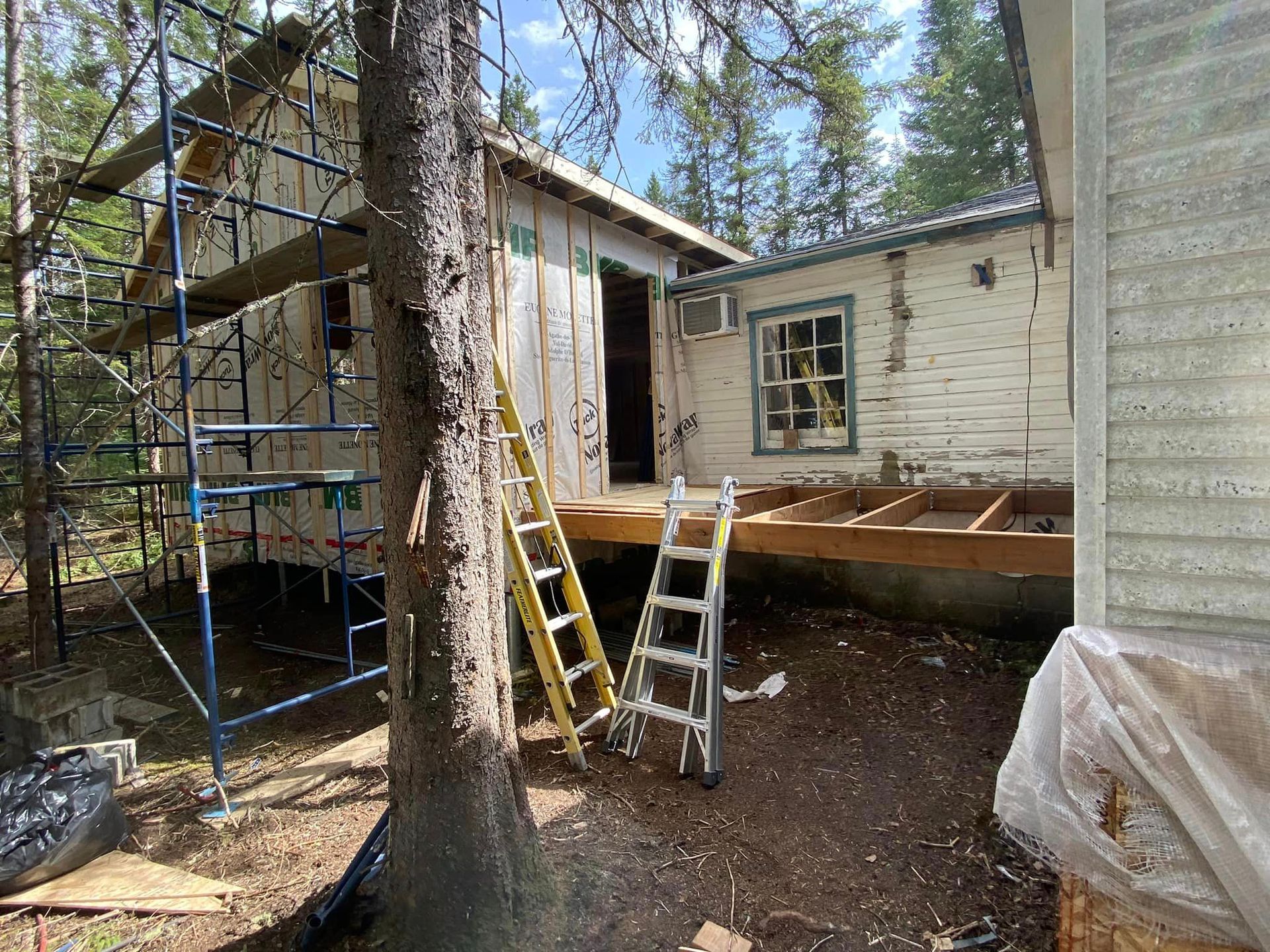 Une échelle est posée à côté d'un arbre devant une maison en construction.