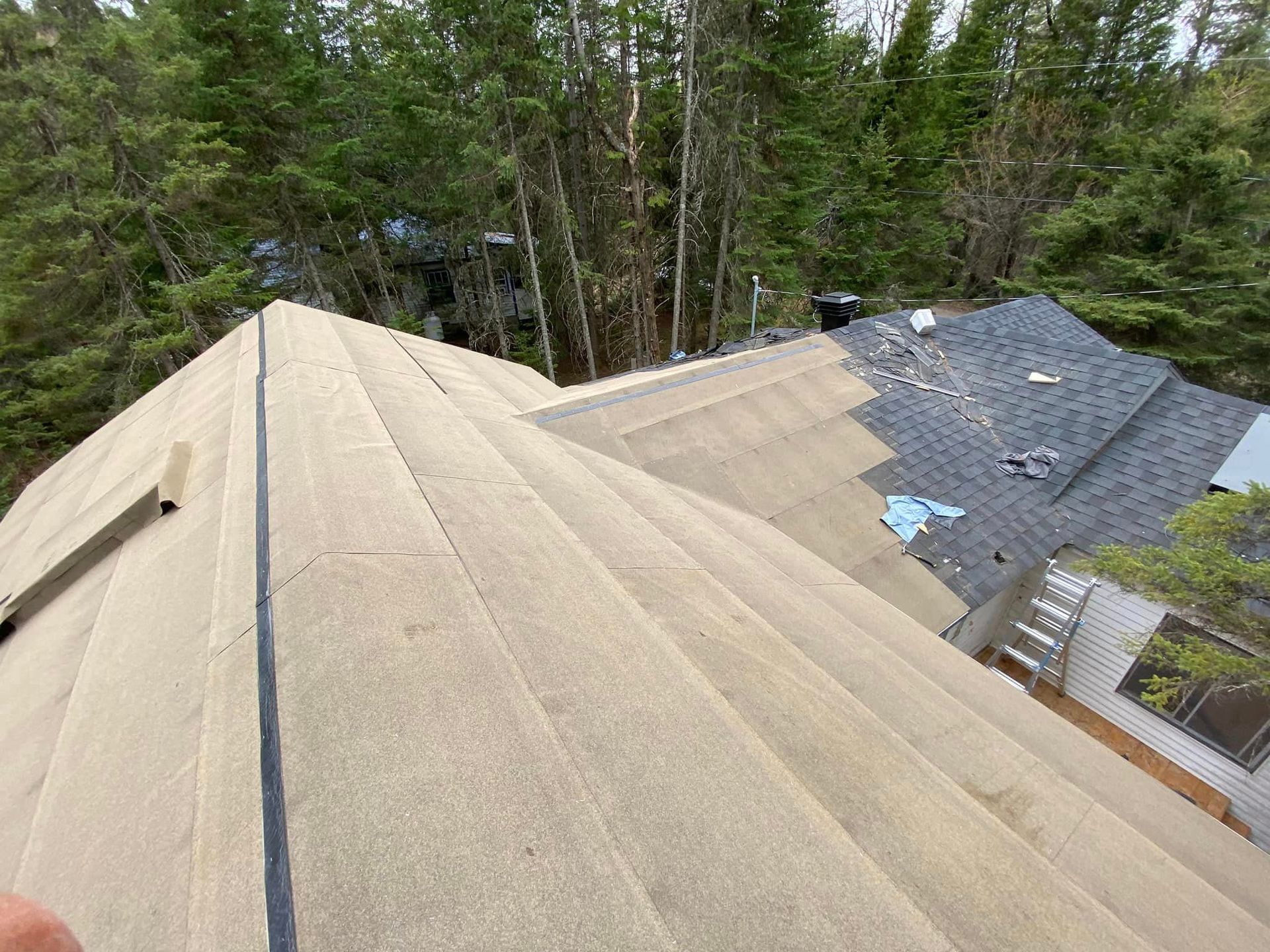 Une personne se tient sur le toit d'une maison dans les bois.