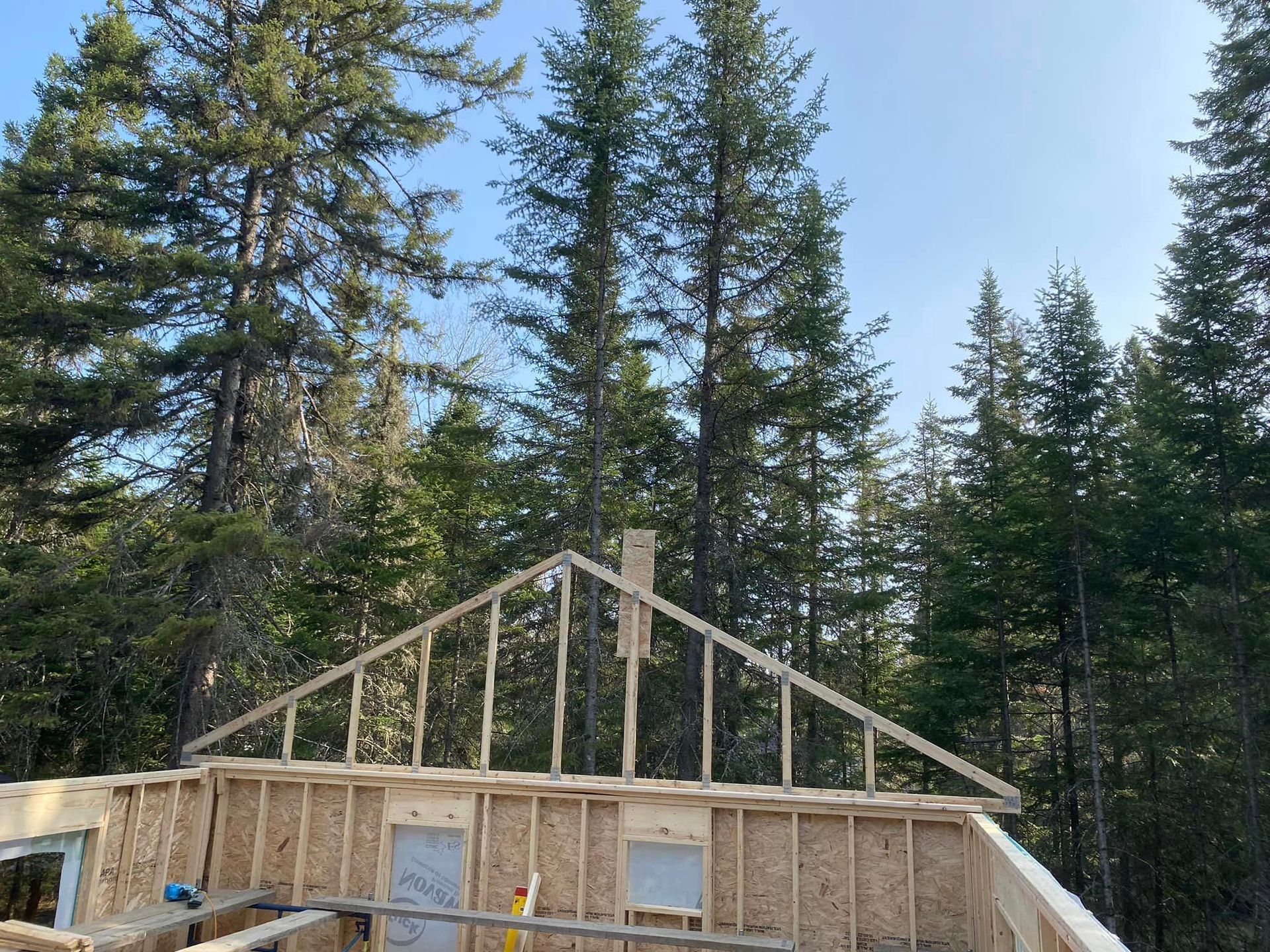 Une maison est en construction au milieu d'une forêt.