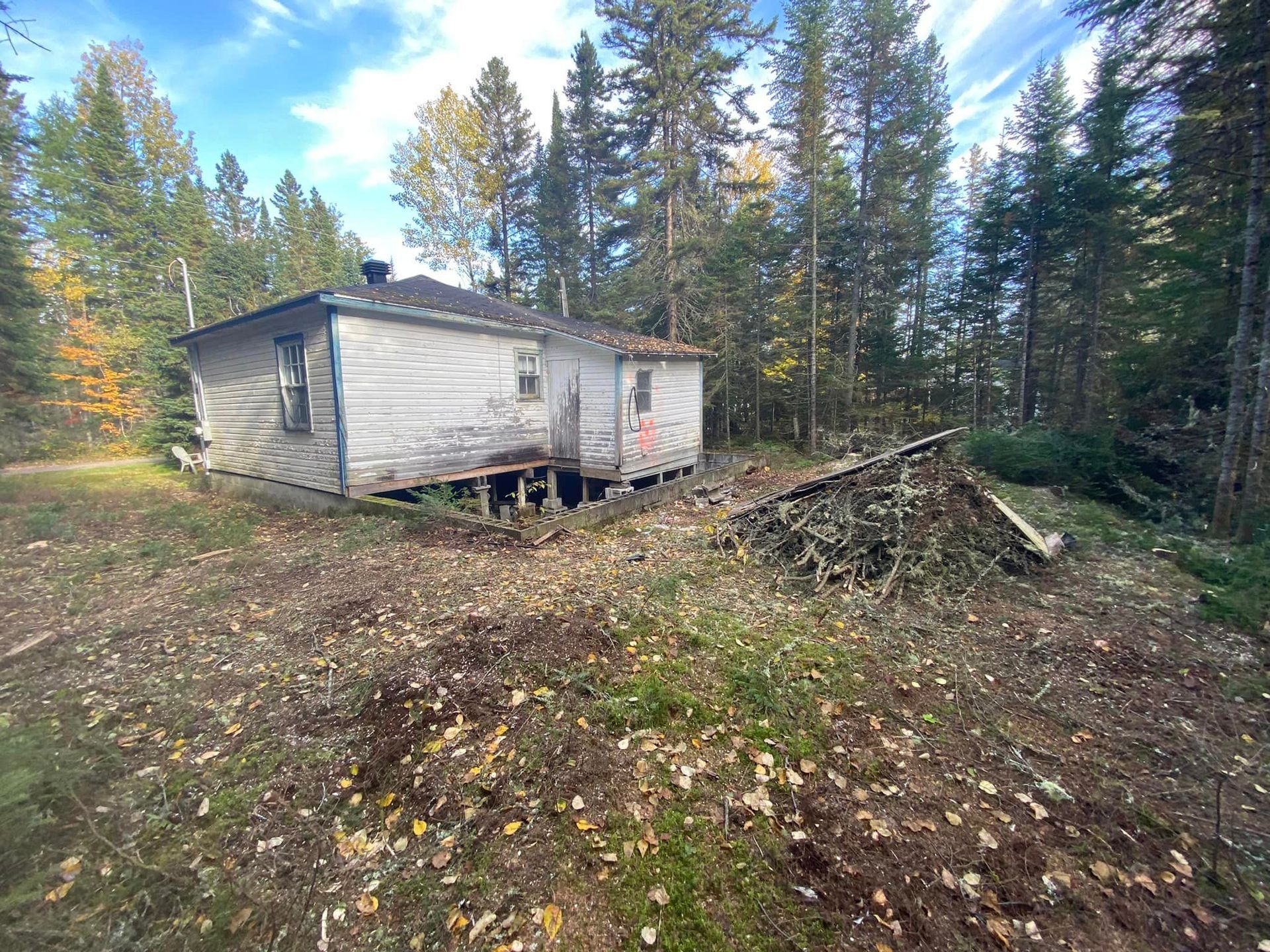 Une vieille maison est située au milieu d'une forêt.