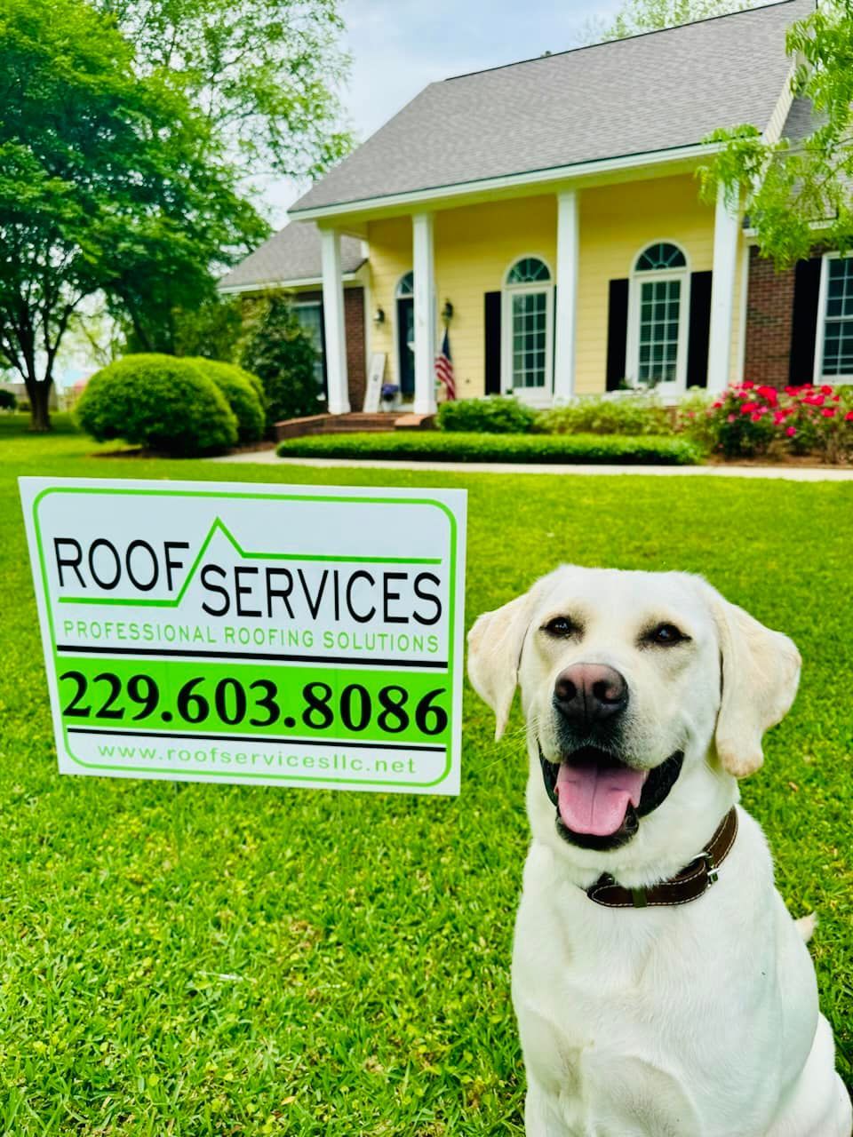 Yellow Labrador smiles next to a sign for Roof Services in front of a yellow house with a green lawn.